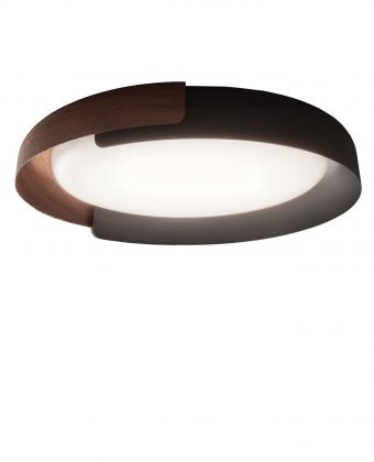 SURFACE CEILING LIGHTING FIXTURE P20